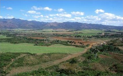Vacances � Trinidad