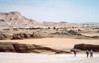 Circuit en 4 X 4 Oasis &eacute;ternelles / D&eacute;sert et  Oasis / Egypte