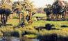 Croisi�re Du Nil au lac Nasser / Au D�part du Caire / Egypte