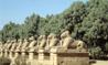 S�jour Combin� Louxor / Assouan Hotel 4 **** / Egypte