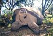 Croisi�re Equateur - Les Galapagos 5 jours / 4 nuits