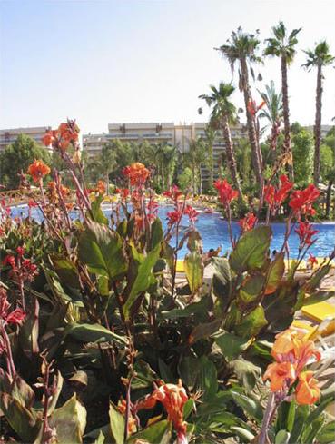 Hotel Villa Roma 4 ****/ Salou / Costa Dorada