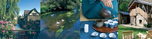 Voyages en Ecologie
