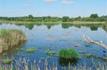 Court S&eacute;jour - Week-end / Week-end roulotte en Brenne / Luant (Indre)