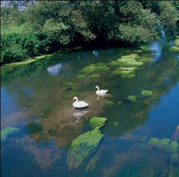 Voyages en Ecologie