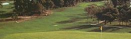 Le Golf � Mad�re