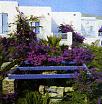 Hôtel Astir of Paros 5 ***** / Paros / Grèce / Environnement