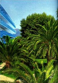 Hôtel Club Long Beach 3 ***/ Péloponnèse / Grèce / Environnement