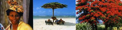 Vacances en Guadeloupe