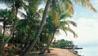 Hotel Les R�sidence Yucca 2 **  Sup. / Gosier /  Guadeloupe