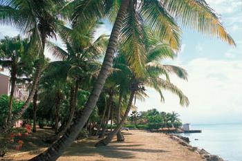Hotel Les R�sidence Yucca 2 **  Sup. / Gosier /  Guadeloupe