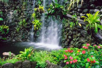 Hotel Fort Young 3 *** / La Dominique  /  Guadeloupe
