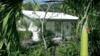 Hotel Sunset Bay Club Beach Resort 3 *** / La Dominique  /  Guadeloupe
