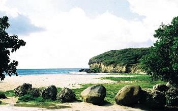 Hotel Eden Palm 4 **** Luxe / Sainte Anne / Guadeloupe
