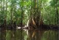 Guyane Circuit Aventure sur le Maroni en pirogue 