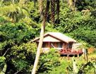 Hotel Maravu Plantation Resort 3 *** / Les �les Fidji / �les du Pacifique