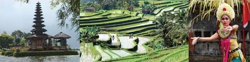 Les Circuits à Bali / Indonésie