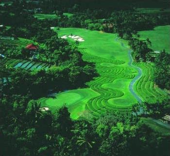 Hotel M�ridien Nirwana Golf & Spa 5 ***** / Indon�sie