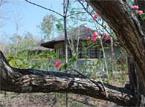Hotel Angel Island Resort 4 **** / Bidadari Island / �les de la Sonde