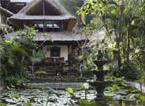 Hotel Tjampuhan Spa 3 *** / Ubud / Indon&eacute;sie