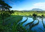 Les Circuits &agrave; Bali / Java / Bali en court m&eacute;trage / Indon&eacute;sie