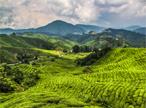 Les Circuits &agrave; Bali / Une odyss&eacute;e indon&eacute;sienne / Indon&eacute;sie