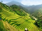 Les Excursions &agrave; Bali  / Balade balinaise / Indon&eacute;sie