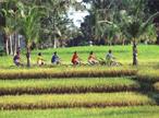 Les Excursions &agrave; Bali  / Bali en VTT / Indon&eacute;sie