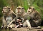 Les Excursions &agrave; Bali / Prendre la nature &agrave; t&eacute;moin / Indon&eacute;sie
