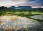 Les Circuits &agrave; Sumatra & C&eacute;l&egrave;bes / Trek / Indon&eacute;sie