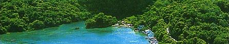 Vacances en Jama�que