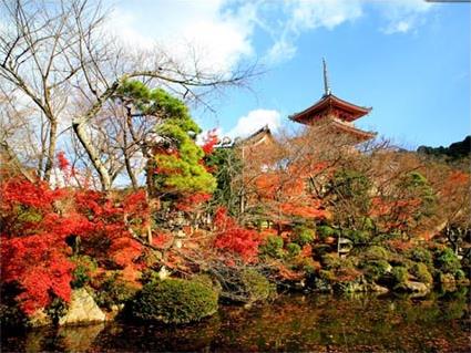 Les Excursions  Kyoto / Dcouverte de Kyoto / Japon
