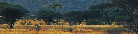 Vacances au Kenya