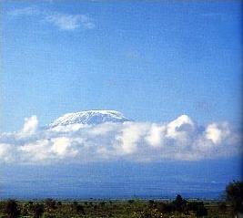 Safari Kilimanjaro / Mont Kenya / Kenya  - Kilimanjaro