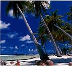  La Polyn�sie d' �le en �le /Combin� � Pearl � du Pacifique/Polyn�sie