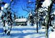 S&eacute;jours Activit&eacute;s Traditions Sami / Ivalo / Laponie Finlandaise