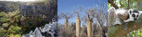 Vacances � Madagascar