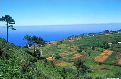 Auto - Tour Hors des sentiers battus Tradition/ Funchal / Madre