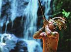Les Excursions &agrave; Born&eacute;o / Myst&egrave;res du Sarawak / Malaisie