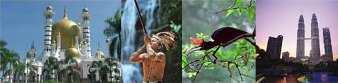 Les Excursions à Bornéo / Malaisie