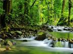Les Excursions &agrave; Kuala Lumpur & Malacca / Objectif nature / Malaisie