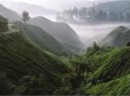Les Excursions &agrave; Kuala Lumpur & Malacca / Palais et Plantations / Malaisie