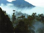 Les Excursions &agrave; Kuala Lumpur & Malacca / Taman Negara / Malaisie