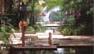 Hotel Tanjung Rhu Resort 5 ***** Luxe / Langkawi / Malaisie 