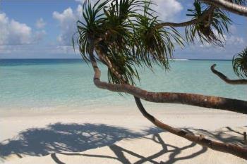 Hotel Dhoni Mighili 5 ***** / Atoll d'Ari  / �les Maldives
