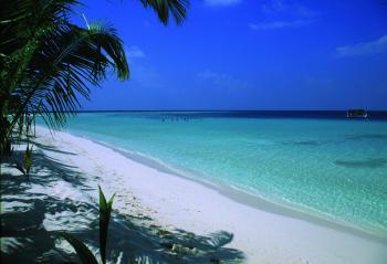 Hotel Maayafushi 4 **** / Atoll d'Ari Nord / �les Maldives