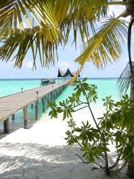 Htel Machchafushi 4 **** / Atoll d'Ari / les Maldives