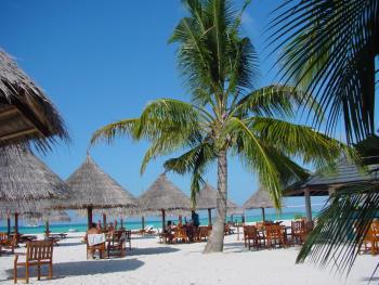 Hotel Sun Island Resort & Spa 5 ***** / Atoll d'Ari Nord / �les Maldives