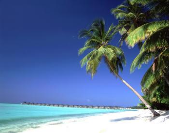 Hotel Sun Island Resort & Spa 5 ***** / Atoll d'Ari Nord / �les Maldives