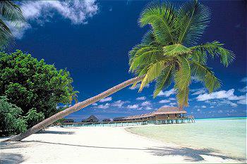 Hotel Medhufushi 5 ***** / Atoll de Meemu / �les Maldives 